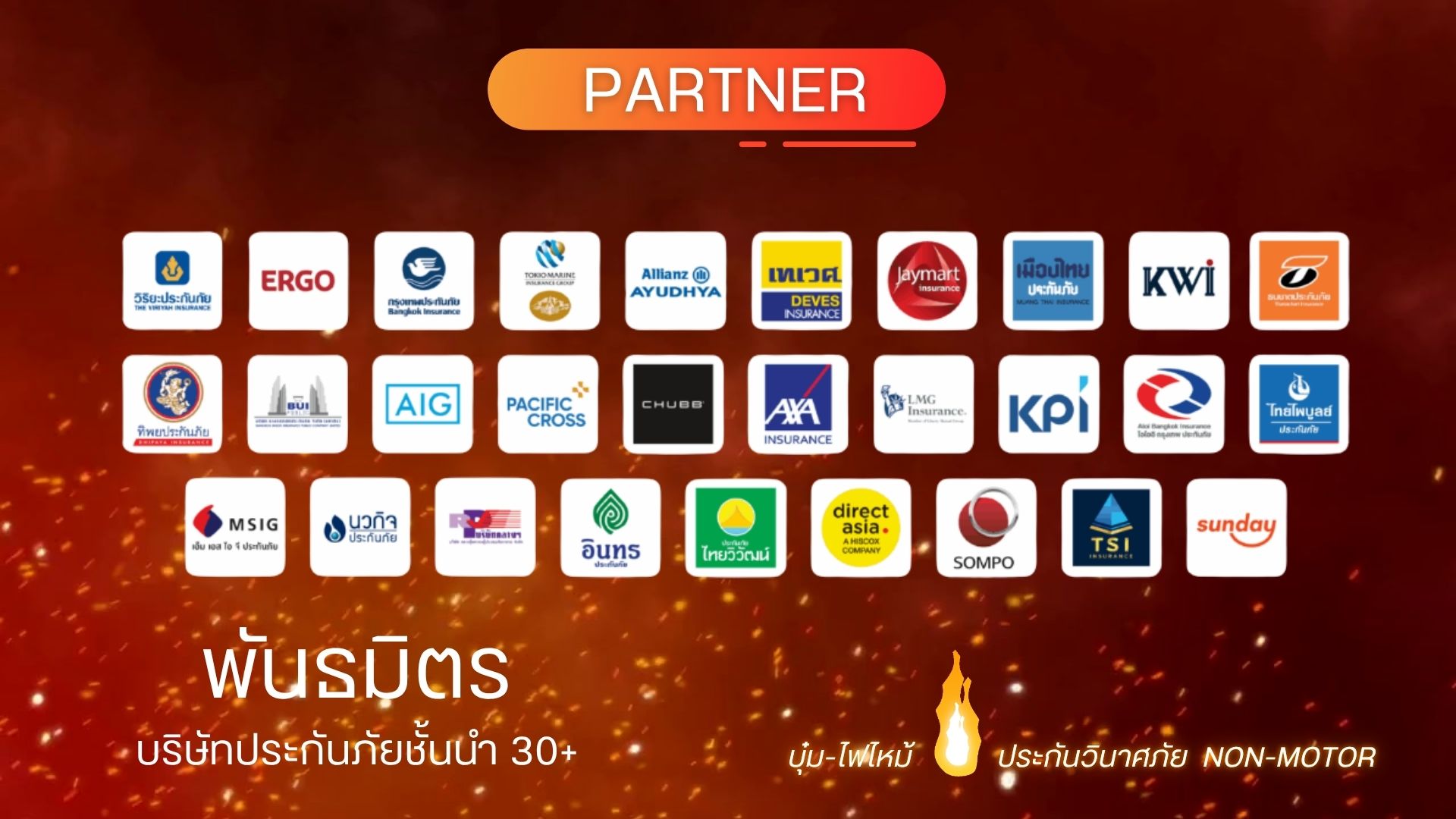 partner